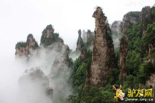 41cf45573aedb60851b22084ec6977c0_副本.jpg