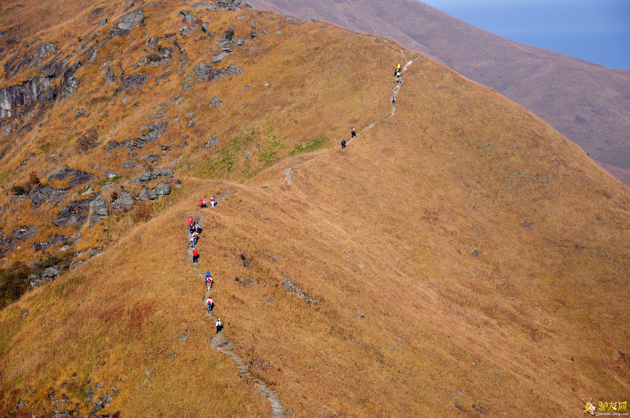 �����书ɽ (6).jpg