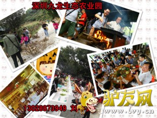 九龙山做饭.jpg